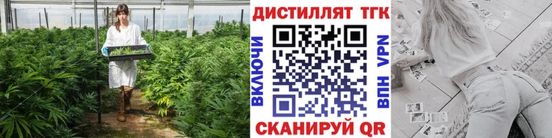 наркотики  MEGA ссылка  Дистиллят ТГК вейп  Щёкино 