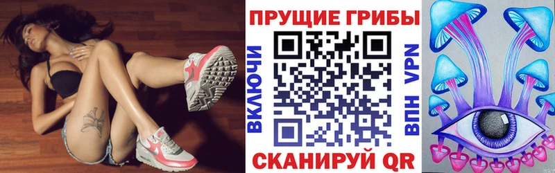 Галлюциногенные грибы Cubensis  Щёкино 