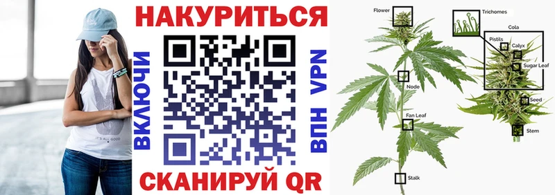 МАРИХУАНА семена  Щёкино 